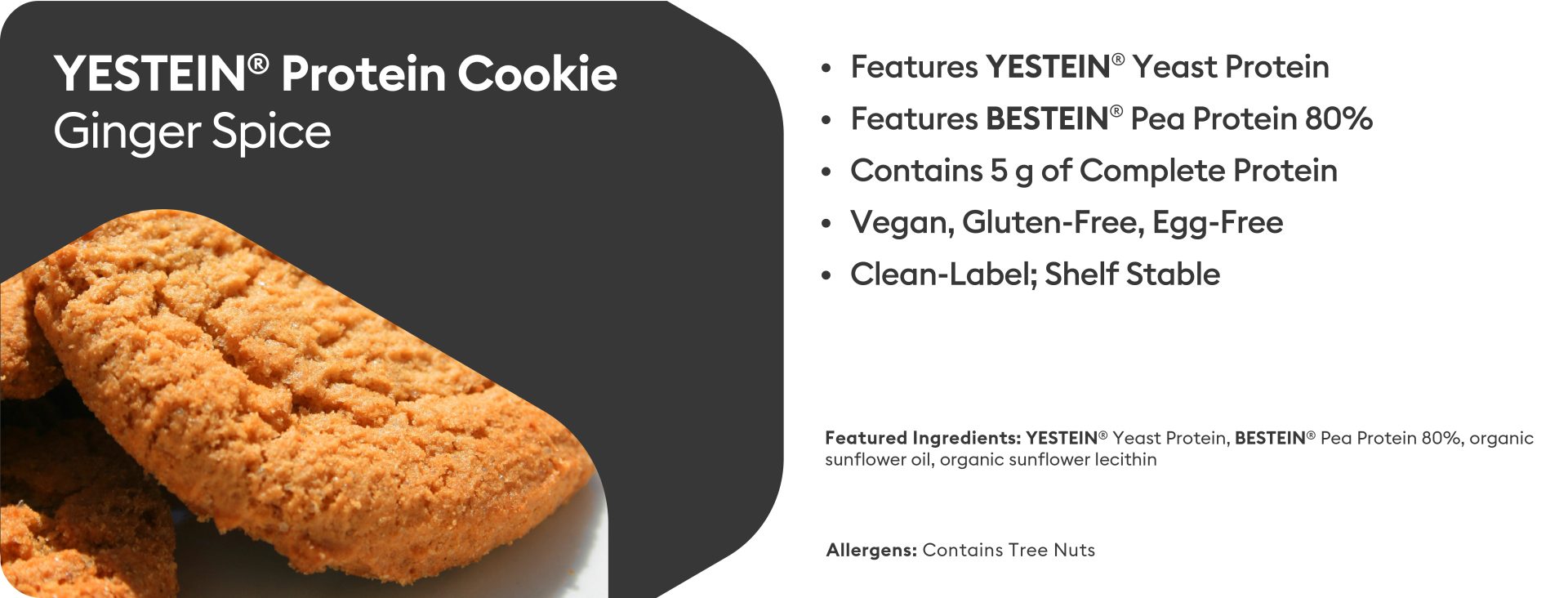 YESTEIN Prototypes_ginger cookie